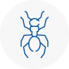 Ant Removals In Holywell