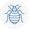 Bed Bug Extermination In Holywell