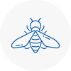 Bee Nest Removal Holywell