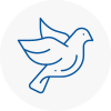 Bird Prevention Holywell