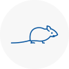 Mice Exterminators In Holywell