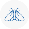 Moth Control Specialists In Holywell