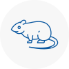 Rat Control Holywell